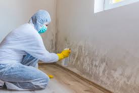 Why You Should Choose Our Mold Remediation Services in Sunrise Manor, NV