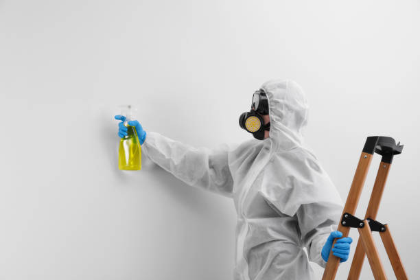 Professional Mold Removal in Sunrise Manor, NV